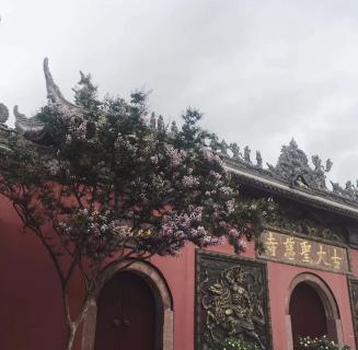 U8国际：助力公益活动建设，实现经济效益与社会效益的双赢！