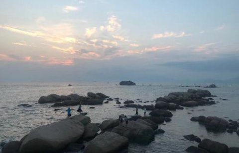 U8国际：新的经营模式应当立足在商业模式之上